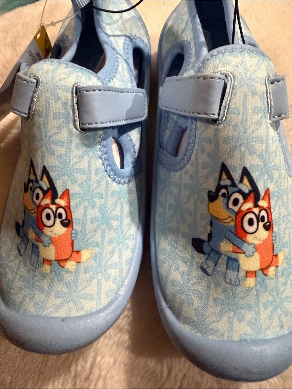 Disney Light Blue Kids Water Shoes with Bluey and Friends